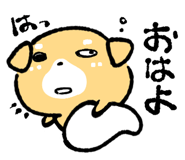 842899166