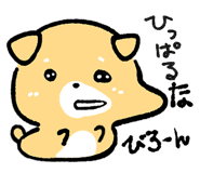 842899172