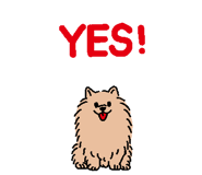 842900221