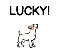 842900241