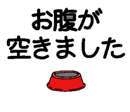 842900242