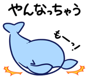 842900644