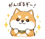 842900796