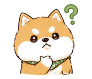 842900799