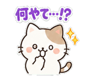 842902533