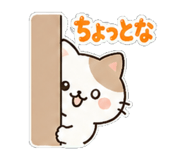 842902536