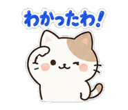 842902542