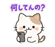 842902546