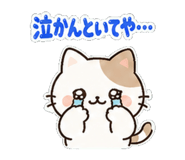 842902551