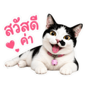 842904233