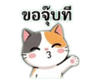 842904871