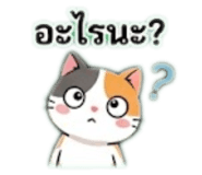 842904877