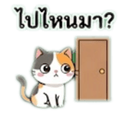 842904885