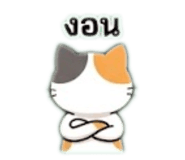 842904893