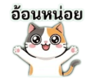 842904899