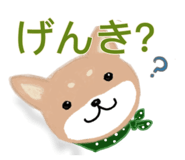 842907727