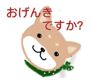 842907728