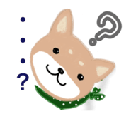 842907731