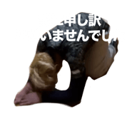 842907836