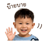 842908036