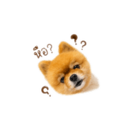 842908811