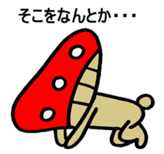 8429090