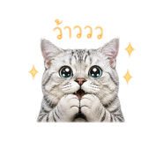 842909191