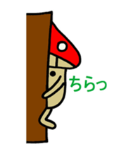 8429094