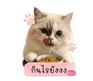 842909595