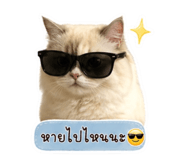 842909603