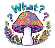 842910258