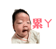 842911401