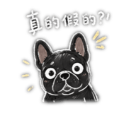842911838