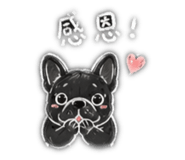 842911856