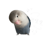 842911948