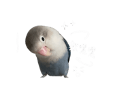 842911960