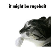 842913191