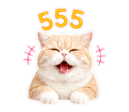 842913914