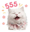 842914434