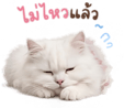 842914439