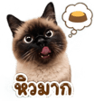 842915036