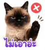 842915046