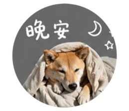 842922368