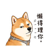 842923370