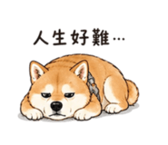 842923375