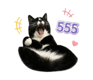 842924203