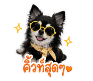 842925003