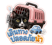 842925435