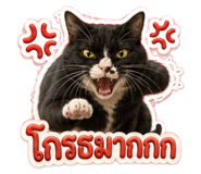 842925440