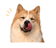 842927015